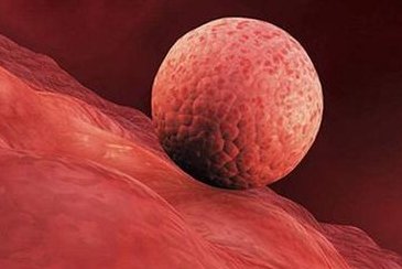 做了结扎手术可以在十堰市试管医院做试管婴儿吗？费用是多少