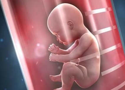 试管婴儿求子路，北京大学第一医院以专业实力赢得信赖