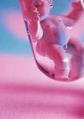 泰国做试管一共需要多少钱？