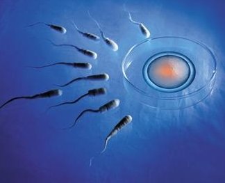 阿贝处女膜闭锁可以做试管婴儿吗？