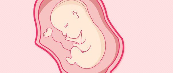 试管移植后促进着床的方式有哪些？合理摄入富含营养的食物