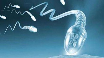 夫妻需要满足什么条件才可以做特需试管？