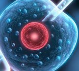 武汉三代试管婴儿费用是多少(价格三万生孩子是真的吗)