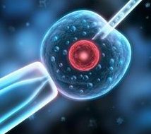 在苏北人民医院做试管婴儿要多少钱？成功率怎么样？附试管怀孕机构名单一览