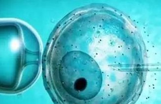 泰安试管婴儿医院排行，哪家医院更适合你？