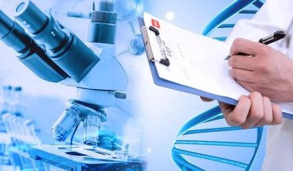 在江门做试管婴儿可以医保报销吗？如何保证试管成功率