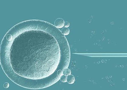 海军总医院试管婴儿贵吗？